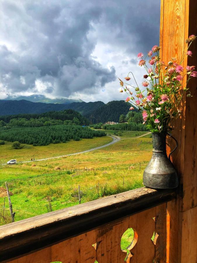 Guest House Gere Omalo ภายนอก รูปภาพ